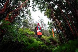 BIB: 
                            <button type="button" onclick="openModal(26203204)" class="btn btn-primary btn-sm float-right btn-popup" data-toggle="modal" data-target=".modal-high-quality">
                        <i class="fas fa-shopping-cart"></i> Add to Cart
                    </button>
                                            <button type="button" onclick="isThisMe(26203204, true)" class="btn btn-success btn-sm float-right btn-popup btn-isme hidden" data-toggle="tooltip" data-placement="bottom" title="นี่คือรูปของคุณใช่ไหม คลิกที่นี่เพื่อเอาเข้าอัลบั้ม">
                        <i class="fas fa-plus"></i> Add to album
                    </button>
                    <button type="button" onclick="isThisMe(26203204, false)" class="btn btn-warning btn-sm float-right btn-popup btn-isnotme hidden">
                        <i class="fas fa-ban"></i> Remove from album
                    </button>